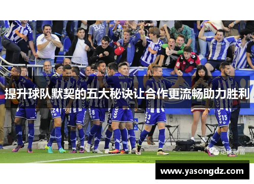 提升球队默契的五大秘诀让合作更流畅助力胜利
